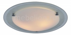 Накладной светильник Giselle A4831PL-2CC Arte Lamp