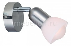Спот Falena A3115AP-1SS Arte Lamp