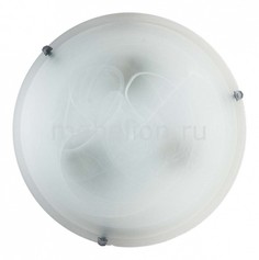 Накладной светильник Irma TL9071Y-02WH Top Light