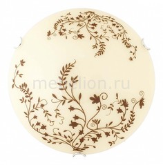 Накладной светильник Aldor TL9193Y-03WH Top Light