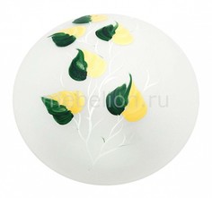 Накладной светильник Enilu TL9460Y-02OA Top Light
