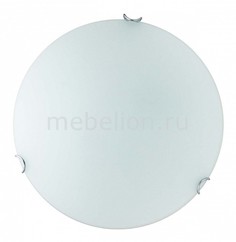 Накладной светильник Hillary TL9021Y-02WH Top Light