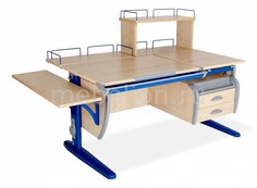Стол учебный СУТ 17-05-Д1 Дэми
