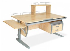 Стол учебный СУТ 15-05-Д1 Дэми