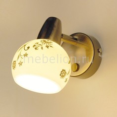 Бра Соната CL520513 Citilux