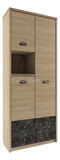 Шкаф комбинированный Diesel 3D2SN/D3 Анрекс