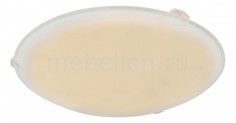 Накладной светильник Holly I 40989 Globo