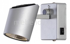 Бра Дубль-2 CL556611 Citilux