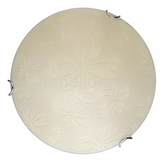 Накладной светильник Jane TL9640Y-00WH Top Light