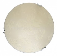 Накладной светильник Jane TL9641Y-00WH Top Light