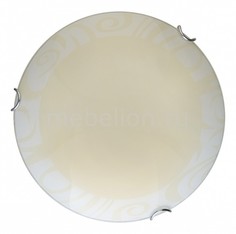Накладной светильник Ginger TL9620Y-00WH Top Light