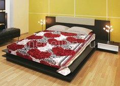 Плед (180х220 см) Rave Tex Republic