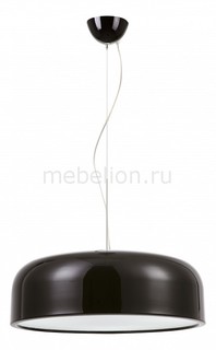 Подвесной светильник Paleolus A3401SP-3BK Arte Lamp