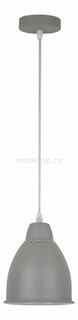 Подвесной светильник Braccio A2054SP-1GY Arte Lamp