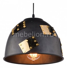 Подвесной светильник Eurica A6023SP-1BK Arte Lamp