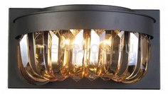 Накладной светильник Amber 1657-2W Favourite