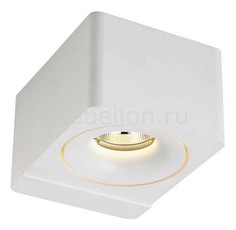 Накладной светильник DL18620/01WW-R White Donolux