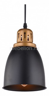 Подвесной светильник Eurica A4248SP-1BK Arte Lamp