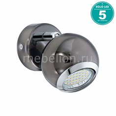 Спот Bimeda 31005 Eglo