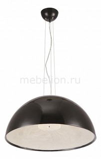 Подвесной светильник Rome A4176SP-1BK Arte Lamp