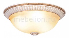Накладной светильник C110159/3-50 Donolux