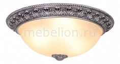 Накладной светильник C110154/3-50 Donolux