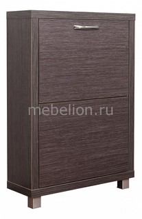Тумба для обуви Айрон Люкс 2с