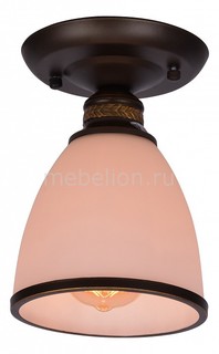 Накладной светильник Bonito A9518PL-1BA Arte Lamp