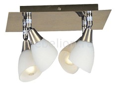 Спот Frank 5451-4 Globo
