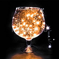Гирлянда Нить (10 м) LED-TL-100 303-151 Неон Найт