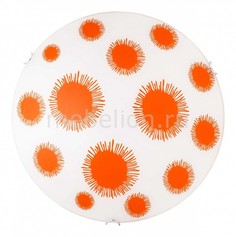 Накладной светильник Idem TL9272Y-02OR Top Light