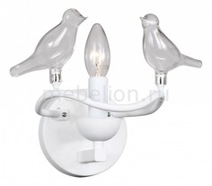 Бра Pajaritos 1751-1W Favourite