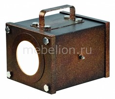 Настольная лампа декоративная Foco 2037-1T Favourite