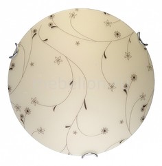 Накладной светильник Karissa TL9651Y-00WH Top Light