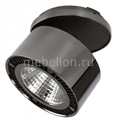 Спот Forte Inca 214828 Lightstar