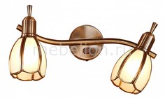 Бра Альтен-2 CL522621 Citilux