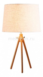 Настольная лампа декоративная Simplicity LOFT7112T