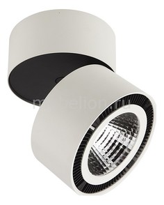 Спот Forte 213850 Lightstar