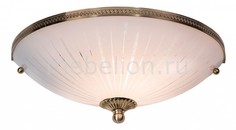 Накладной светильник CL912321 Citilux