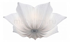 Накладной светильник Fiore SL359.502.07 St Luce