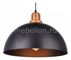 Подвесной светильник Eurica A4249SP-1BK Arte Lamp