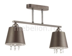 Накладной светильник Hannah 3647/2C Lumion