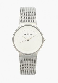 Часы Skagen