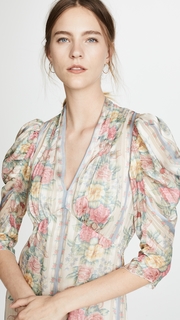 Anna Sui Whisper Rose Dress