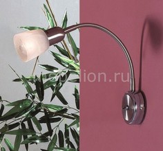 Бра Ронда CL506311 Citilux