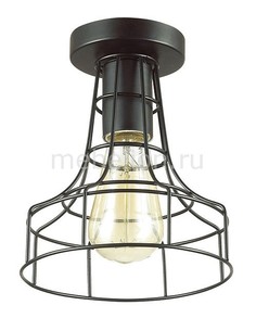 Накладной светильник Alfred 3639/1C Lumion
