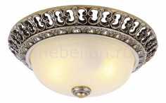 Накладной светильник Torta A7131PL-2SA Arte Lamp