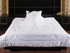 Одеяло евростандарт Feng-shui Primavelle