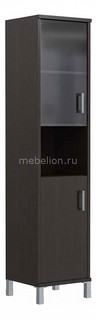 Шкаф комбинированный Skyland Born B 431.10