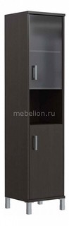 Шкаф комбинированный Skyland Born B 431.10